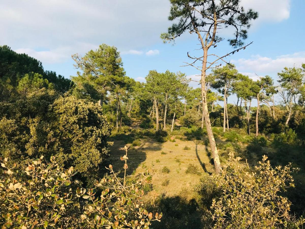 Maison De La Plage, Charme Et Soleil サン・ジャン·ド・モン エクステリア 写真